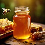 Organic Honey | Organic Forest Honey 500 g